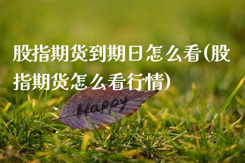 股指期货到期日怎么看(股指期货怎么看行情) (https://www.njaxzs.com/) 期货直播间 第1张