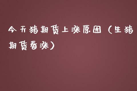 今天猪期货上涨原因（生猪期货看涨） (https://www.njaxzs.com/) 期货直播间 第1张