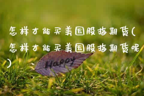 怎样才能买美国股指期货(怎样才能买美国股指期货呢) (https://www.njaxzs.com/) 原油期货 第1张