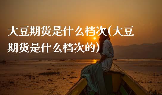 大豆期货是什么档次(大豆期货是什么档次的) (https://www.njaxzs.com/) 期货直播间 第1张