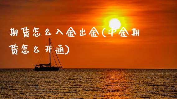 期货怎么入金出金(沪金期货怎么开通) (https://www.njaxzs.com/) 黄金期货 第1张
