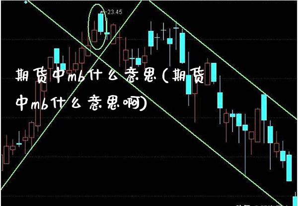 期货中mb什么意思(期货中mb什么意思啊) (https://www.njaxzs.com/) 期货直播间 第1张