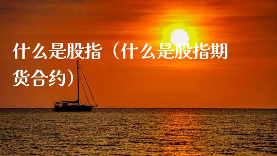 什么是股指（什么是股指期货合约） (https://www.njaxzs.com/) 期货行情 第1张