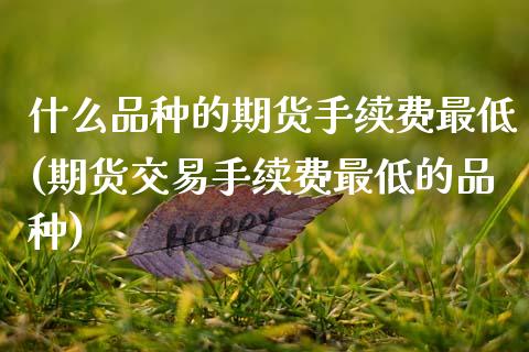 什么品种的期货手续费最低(期货交易手续费最低的品种) (https://www.njaxzs.com/) 内盘期货 第1张
