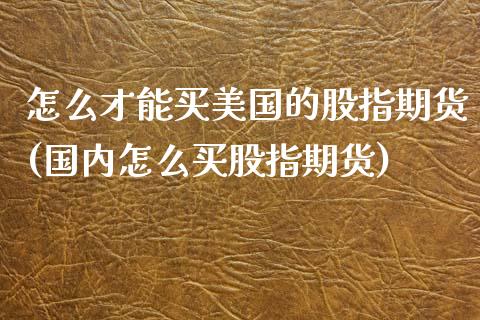 怎么才能买美国的股指期货(国内怎么买股指期货) (https://www.njaxzs.com/) 原油期货 第1张