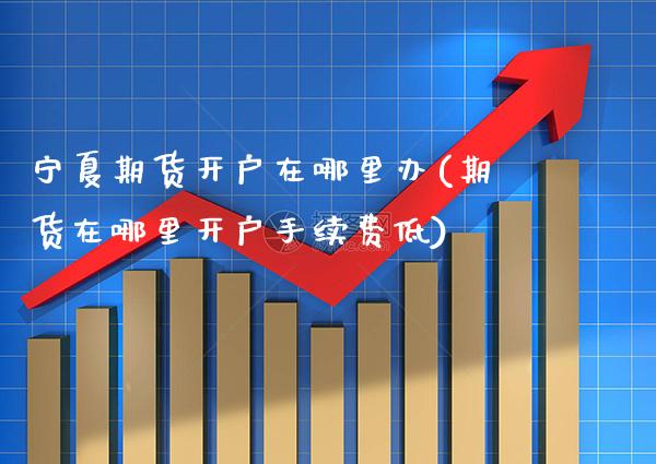 宁夏期货开户在哪里办(期货在哪里开户手续费低) (https://www.njaxzs.com/) 期货投资 第1张