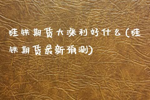 硅铁期货大涨利好什么(硅铁期货最新预测) (https://www.njaxzs.com/) 原油期货 第1张