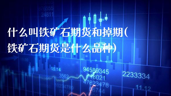 什么叫铁矿石期货和掉期(铁矿石期货是什么品种) (https://www.njaxzs.com/) 内盘期货 第1张