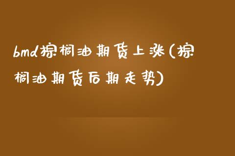 bmd棕榈油期货上涨(棕榈油期货后期走势) (https://www.njaxzs.com/) 内盘期货 第1张
