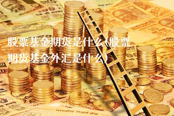股票基金期货是什么(股票期货基金外汇是什么) (https://www.njaxzs.com/) 内盘期货 第1张