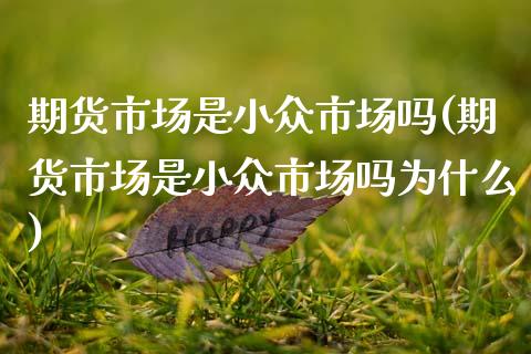 期货市场是小众市场吗(期货市场是小众市场吗为什么) (https://www.njaxzs.com/) 期货开户 第1张