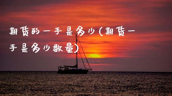 期货的一手是多少(期货一手是多少数量) (https://www.njaxzs.com/) 期货投资 第1张