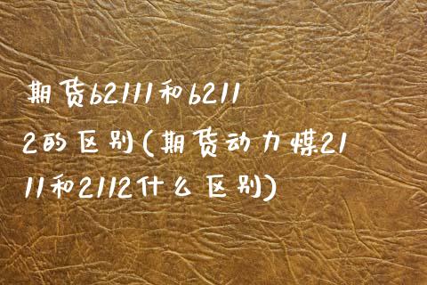 期货b2111和b2112的区别(期货动力煤2111和2112什么区别) (https://www.njaxzs.com/) 期货投资 第1张