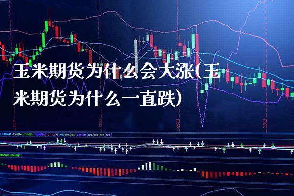 玉米期货为什么会大涨(玉米期货为什么一直跌) (https://www.njaxzs.com/) 内盘期货 第1张