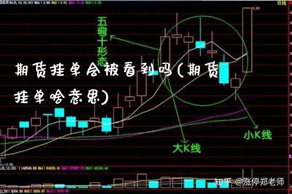 期货挂单会被看到吗(期货挂单啥意思) (https://www.njaxzs.com/) 期货直播间 第1张