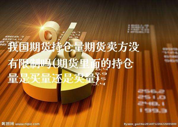 我国期货持仓量期货卖方没有限制吗(期货里面的持仓量是买量还是卖量) (https://www.njaxzs.com/) 黄金期货 第1张