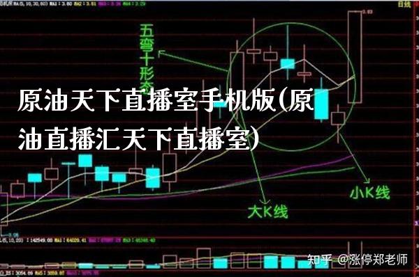 原油天下直播室手机版(原油直播汇天下直播室) (https://www.njaxzs.com/) 期货投资 第1张