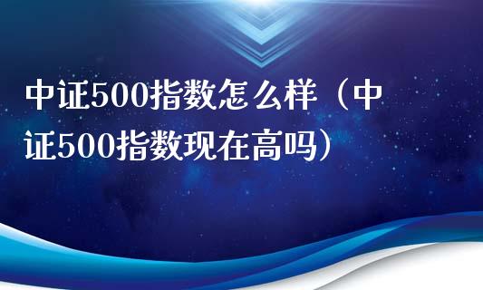 中证500指数怎么样（中证500指数现在高吗） (https://www.njaxzs.com/) 期货直播间 第1张