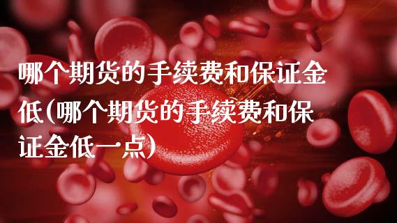 哪个期货的手续费和保证金低(哪个期货的手续费和保证金低一点) (https://www.njaxzs.com/) 期货直播间 第1张