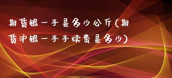 期货银一手是多少公斤(期货沪银一手手续费是多少) (https://www.njaxzs.com/) 期货行情 第1张