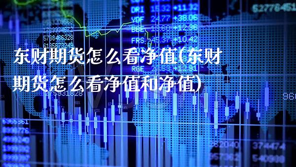 东财期货怎么看净值(东财期货怎么看净值和净值) (https://www.njaxzs.com/) 原油期货 第1张