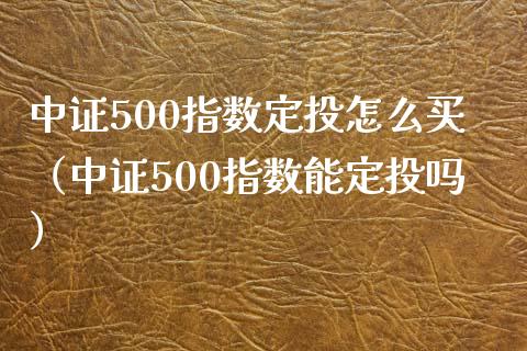 中证500指数定投怎么买（中证500指数能定投吗） (https://www.njaxzs.com/) 期货开户 第1张