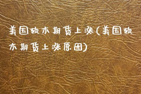 美国软木期货上涨(美国软木期货上涨原因) (https://www.njaxzs.com/) 期货直播间 第1张