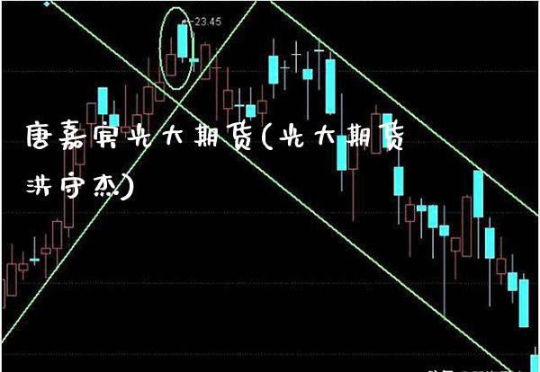唐嘉宾光大期货(光大期货洪守杰) (https://www.njaxzs.com/) 内盘期货 第1张