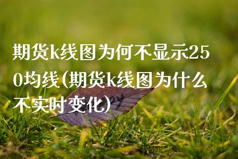 期货k线图为何不显示250均线(期货k线图为什么不实时变化) (https://www.njaxzs.com/) 原油期货 第1张