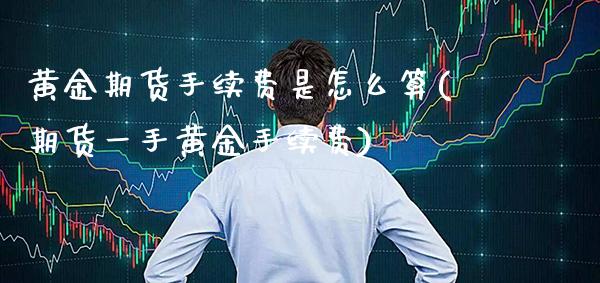 黄金期货手续费是怎么算(期货一手黄金手续费) 内盘期货 第1张-爱新财经 黄金期货手续费是怎么算(期货一手黄金手续费) (https://www.njaxzs.com/) 内盘期货 第1张