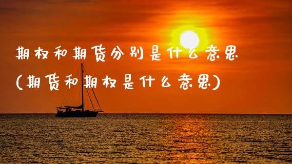 期权和期货分别是什么意思(期货和期权是什么意思) (https://www.njaxzs.com/) 内盘期货 第1张