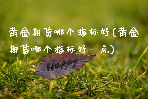 黄金期货哪个指标好(黄金期货哪个指标好一点) (https://www.njaxzs.com/) 黄金期货 第1张