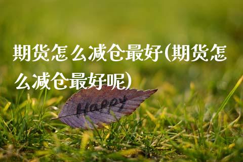 期货怎么减仓最好(期货怎么减仓最好呢) (https://www.njaxzs.com/) 期货开户 第1张