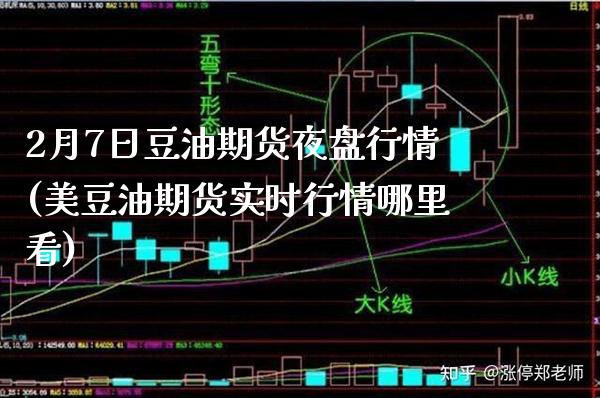 2月7日豆油期货夜盘行情(美豆油期货实时行情哪里看) (https://www.njaxzs.com/) 内盘期货 第1张