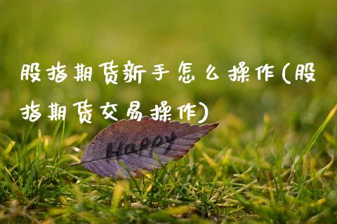 股指期货新手怎么操作(股指期货交易操作) (https://www.njaxzs.com/) 黄金期货 第1张