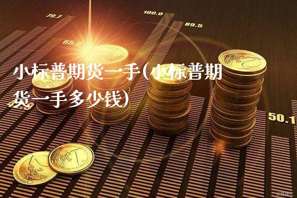 小标普期货一手(小标普期货一手多少钱) (https://www.njaxzs.com/) 期货开户 第1张