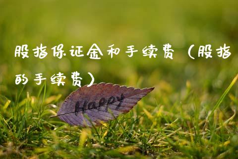 股指保证金和手续费（股指的手续费） (https://www.njaxzs.com/) 黄金期货 第1张