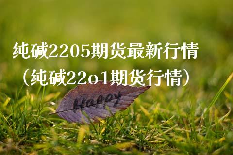纯碱2205期货最新行情（纯碱22o1期货行情） (https://www.njaxzs.com/) 期货开户 第1张