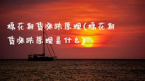 棉花期货涨跌原理(棉花期货涨跌原理是什么) (https://www.njaxzs.com/) 期货行情 第1张