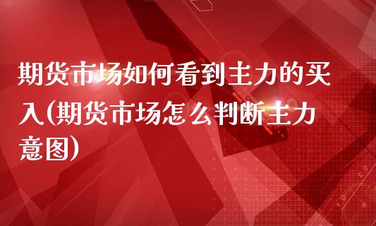 期货市场如何看到主力的买入(期货市场怎么判断主力意图) (https://www.njaxzs.com/) 原油期货 第1张