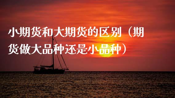 小期货和大期货的区别（期货做大品种还是小品种） (https://www.njaxzs.com/) 期货行情 第1张