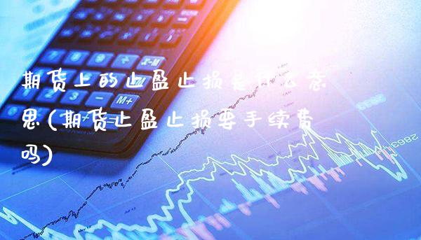 期货上的止盈止损是什么意思(期货止盈止损要手续费吗) (https://www.njaxzs.com/) 期货投资 第1张