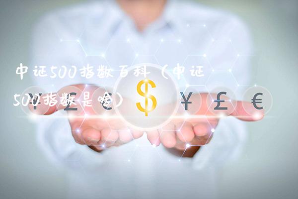 中证500指数百科（中证500指数是啥） (https://www.njaxzs.com/) 黄金期货 第1张