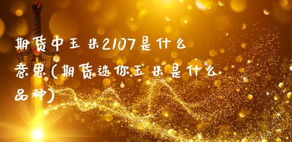 期货中玉米2107是什么意思(期货迷你玉米是什么品种) (https://www.njaxzs.com/) 期货开户 第1张