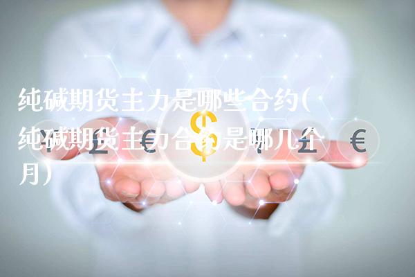 纯碱期货主力是哪些合约(纯碱期货主力合约是哪几个月) (https://www.njaxzs.com/) 期货投资 第1张