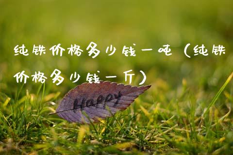 纯铁多少钱一（纯铁多少钱一斤） (https://www.njaxzs.com/) 期货行情 第1张