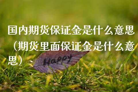 国内期货保证金是什么意思（期货里面保证金是什么意思） (https://www.njaxzs.com/) 内盘期货 第1张