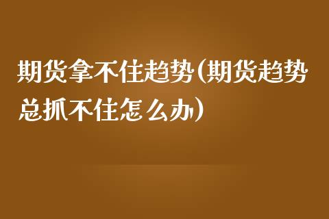 期货拿不住趋势(期货趋势总抓不住怎么办) (https://www.njaxzs.com/) 内盘期货 第1张