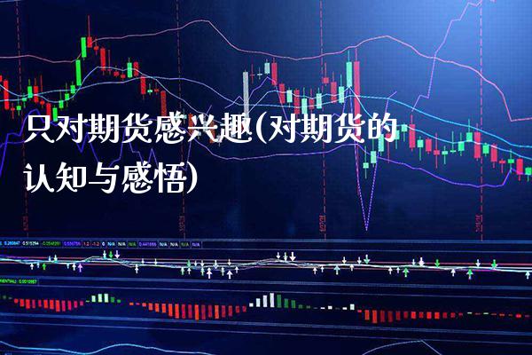 只对期货感兴趣(对期货的认知与感悟) (https://www.njaxzs.com/) 内盘期货 第1张