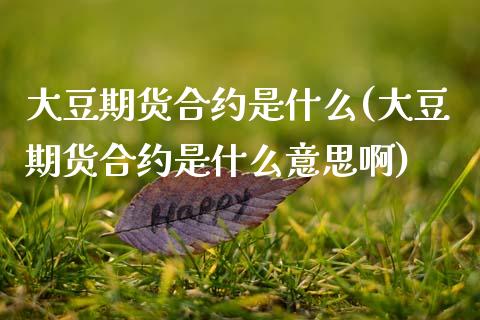 大豆期货合约是什么(大豆期货合约是什么意思啊) (https://www.njaxzs.com/) 黄金期货 第1张